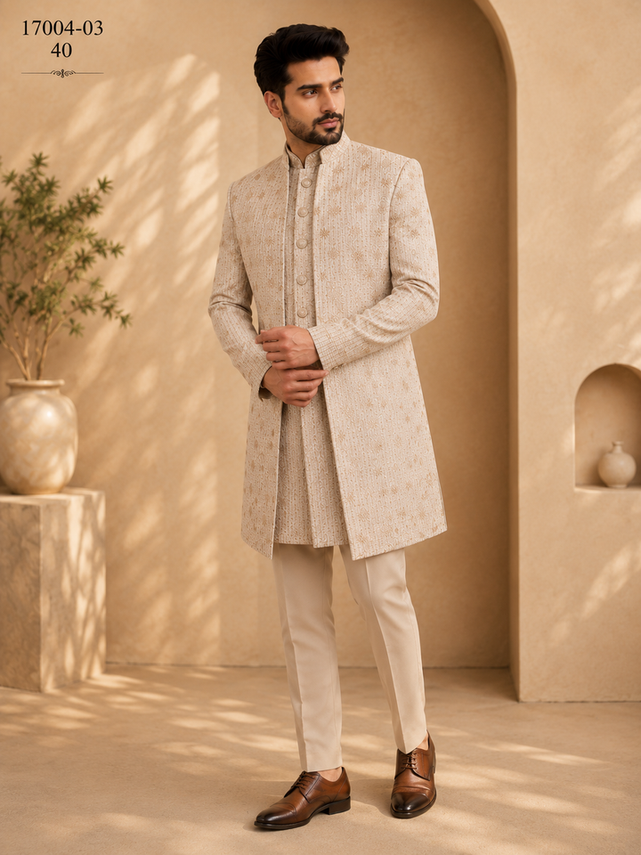 Fawn double pattern look Indo Western embroidered Design